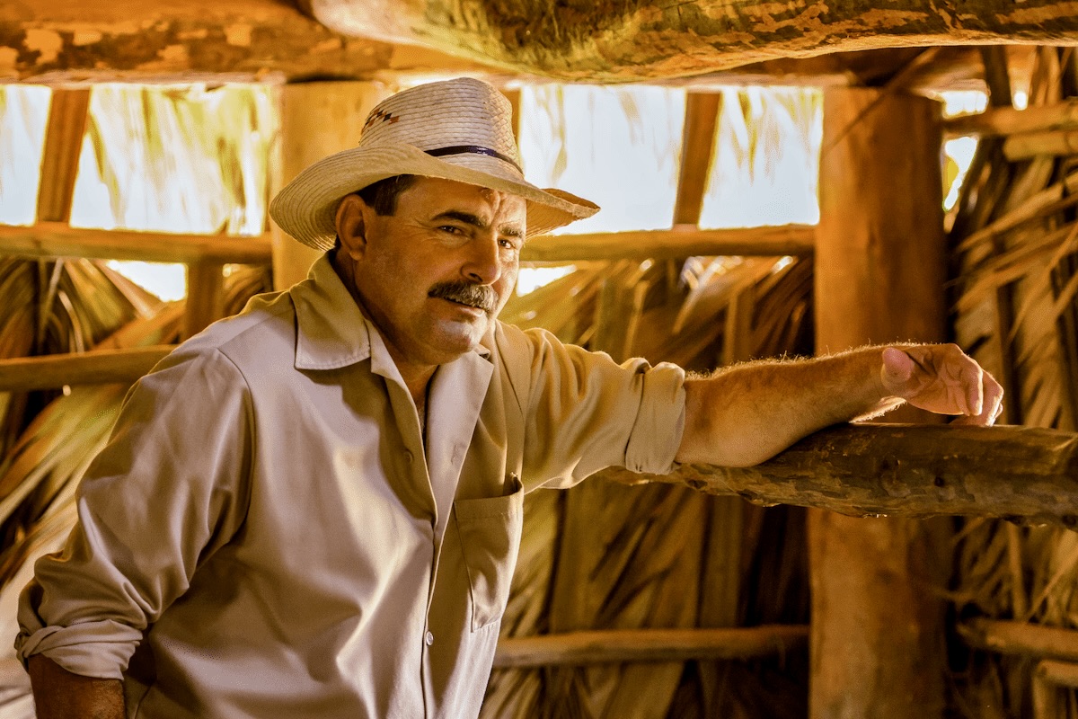 Benito Camejo Cisnero