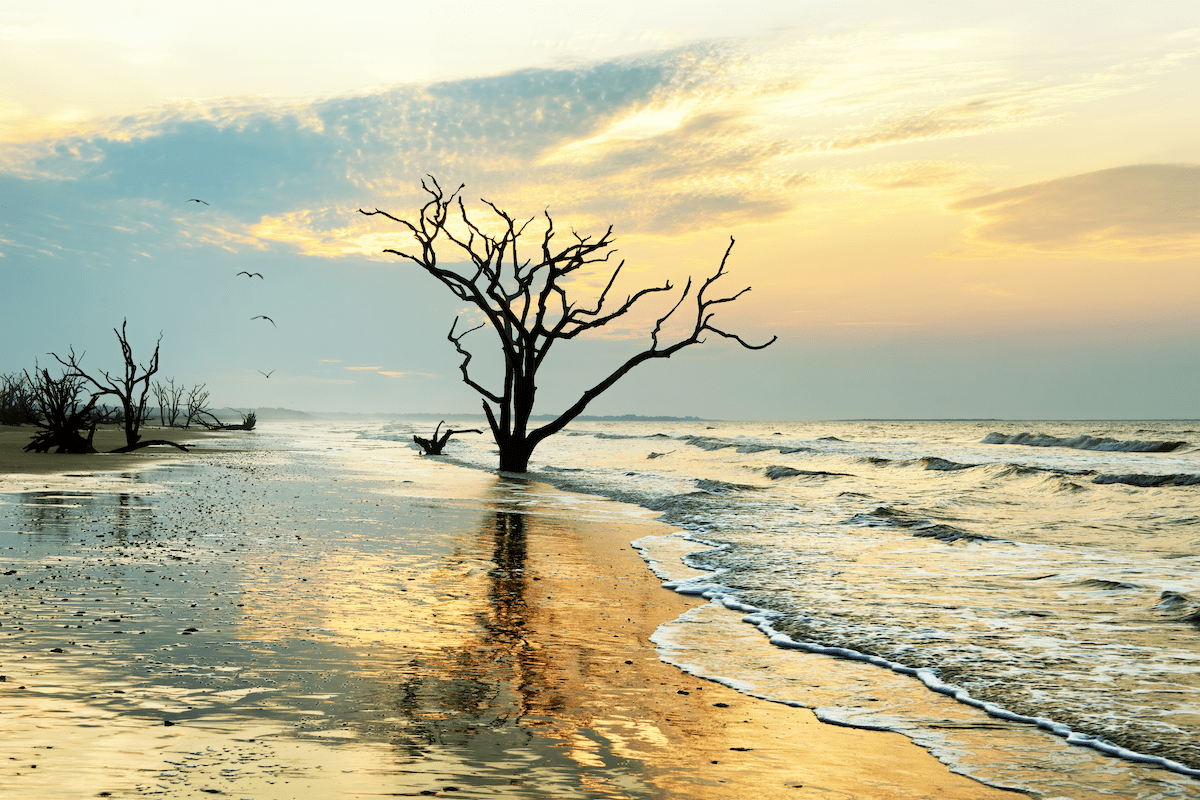 Sunrise at the Boneyard