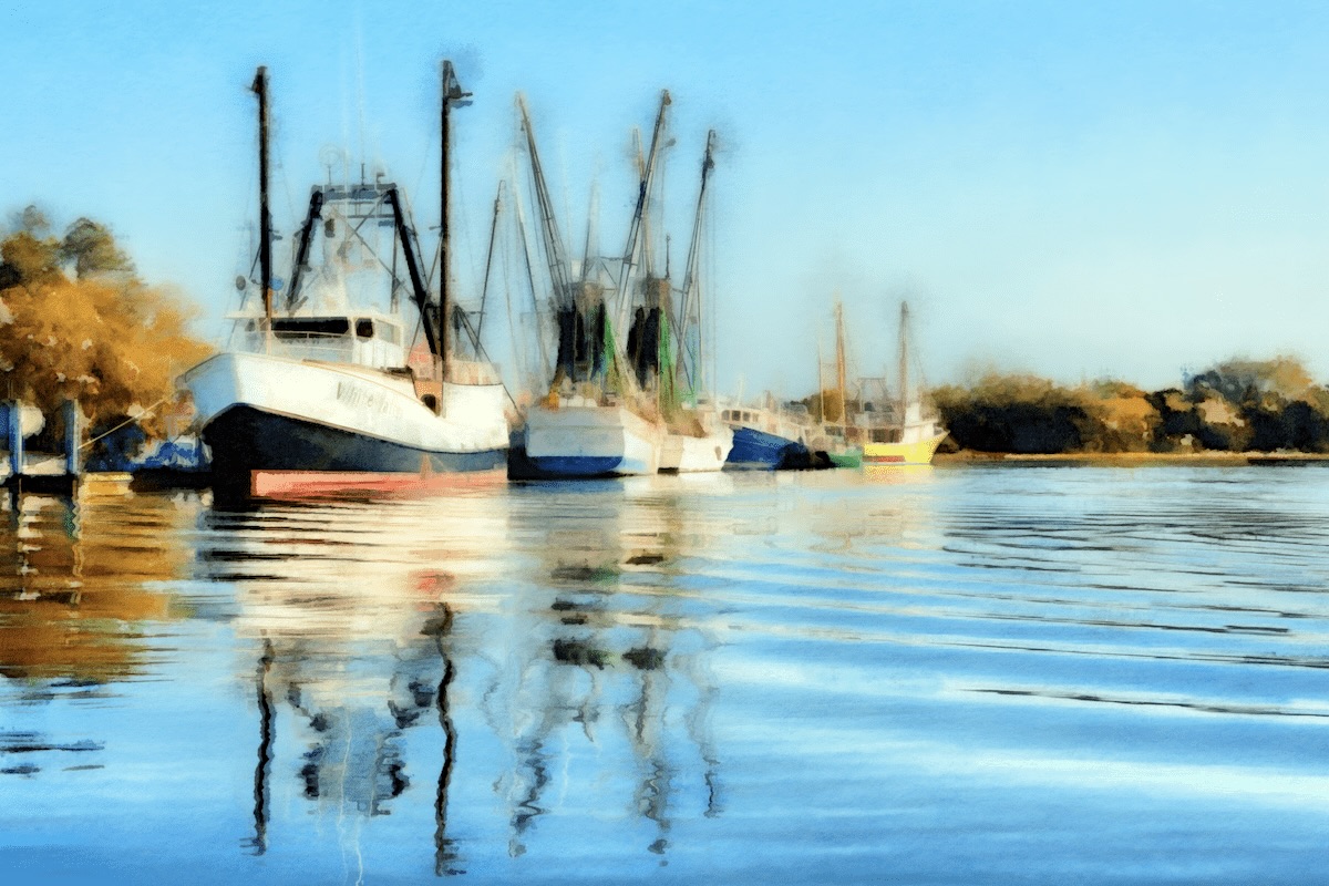A Tranquil Morning on Bohicket Creek